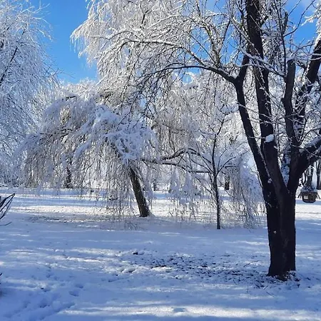 Champ Du Bois Alojamento de Acomodação e Pequeno-almoço 3*