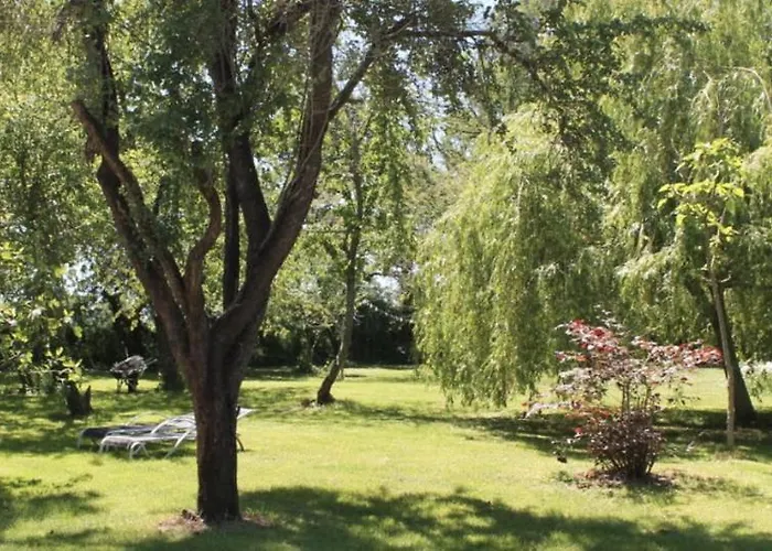 Champ Du Bois 3* Limoise