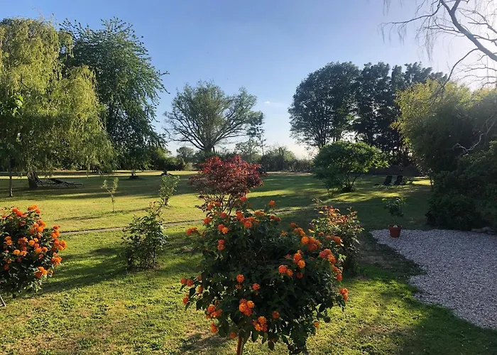 Champ Du Bois Couette-café Limoise
